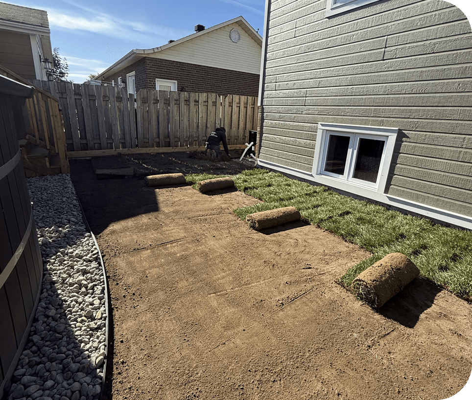 Sod installation for yard